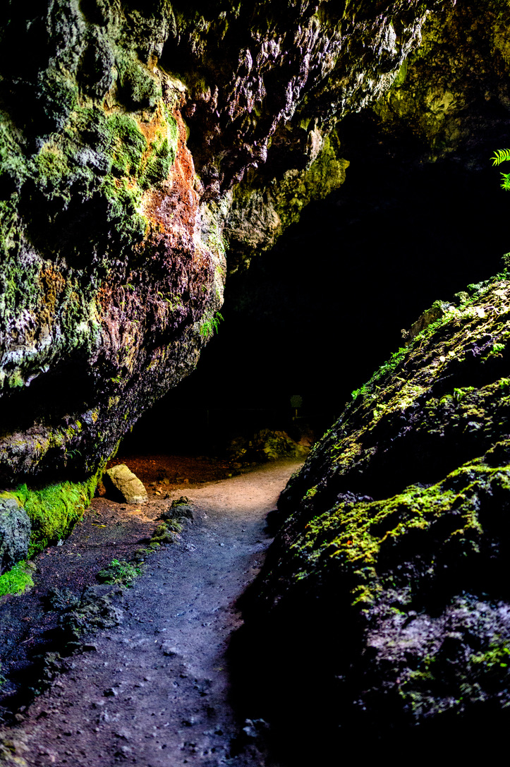 A narrow path winding between dark moss-covered rock walls