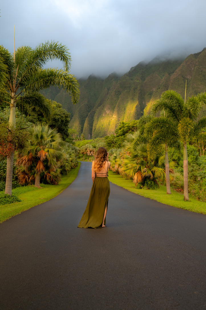 A woman in a green dress on a palm-lined road beneath misty mountains